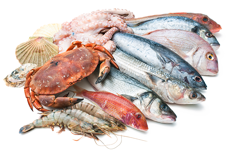 Fish