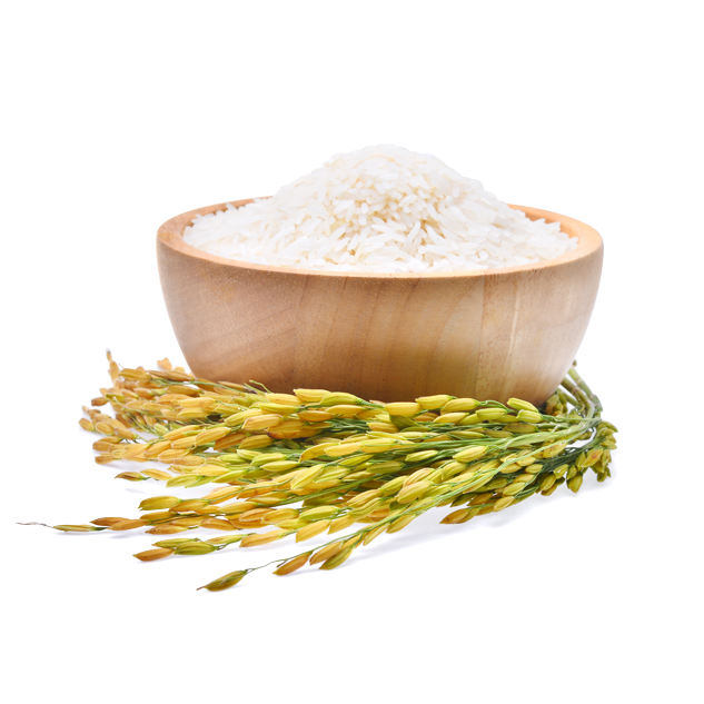 Rice